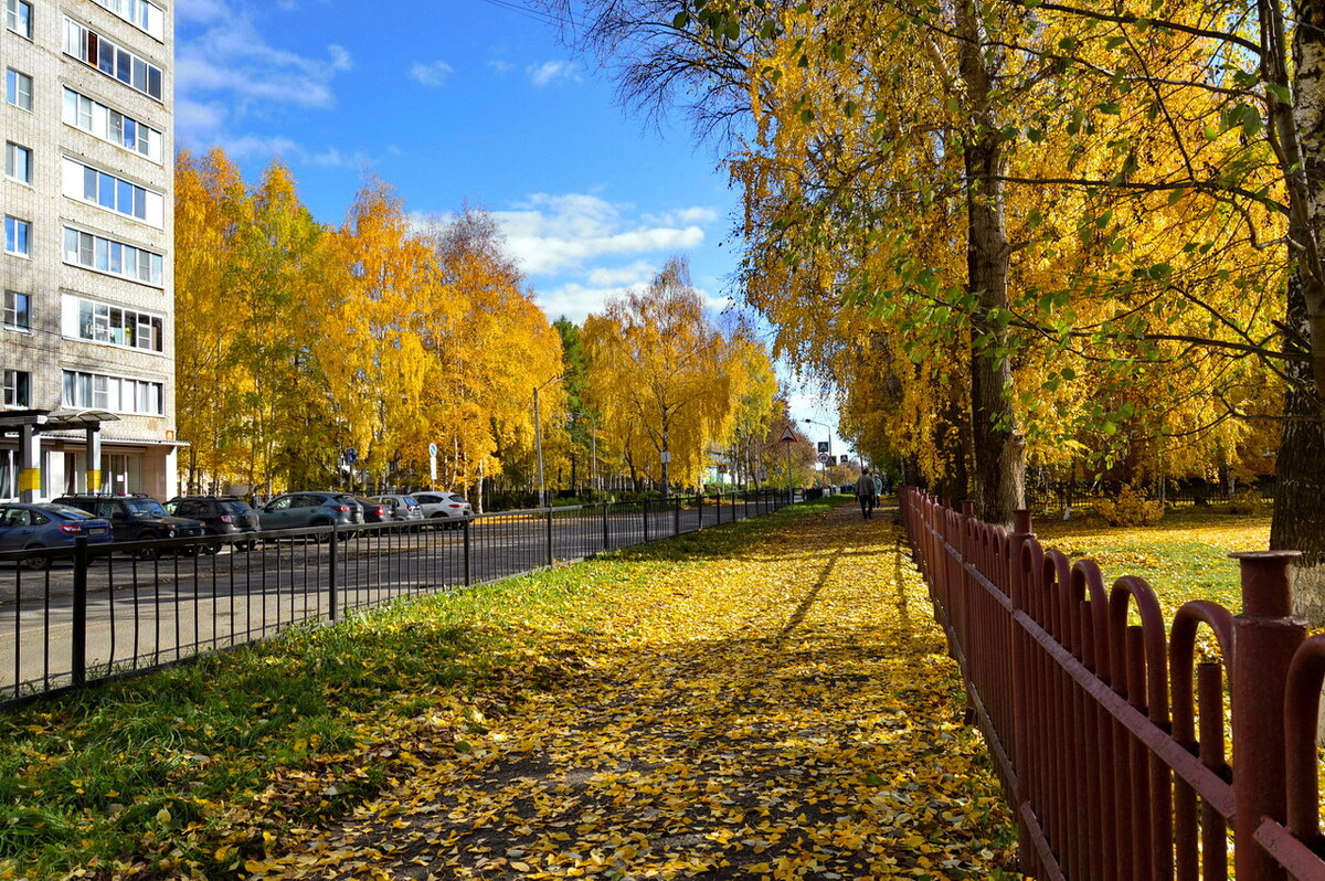 Осень в городе... - Татьяна Н.