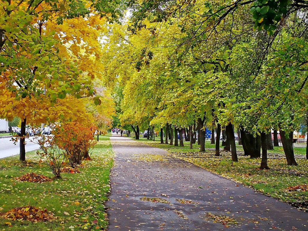 Осень в городе - Ольга Довженко