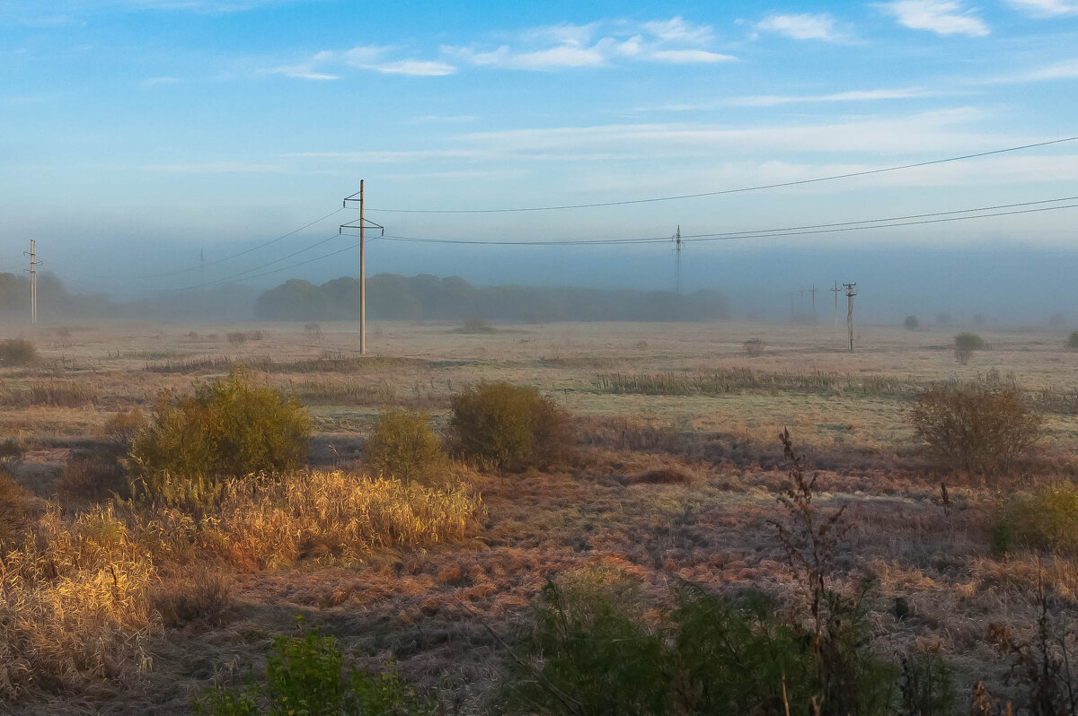 легкий утренний туман - Лариса Крышталь 