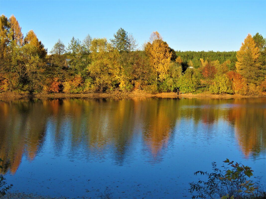 красавица осень - НАТАЛЬЯ 