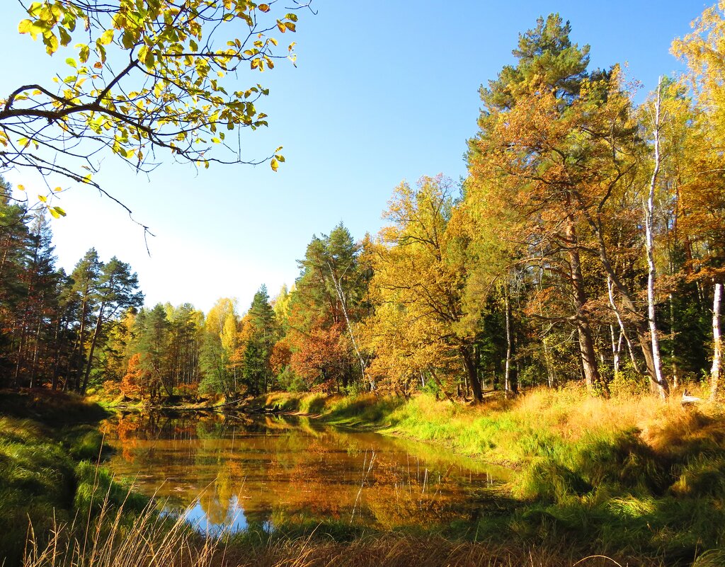 Осенью на реке - Андрей Снегерёв