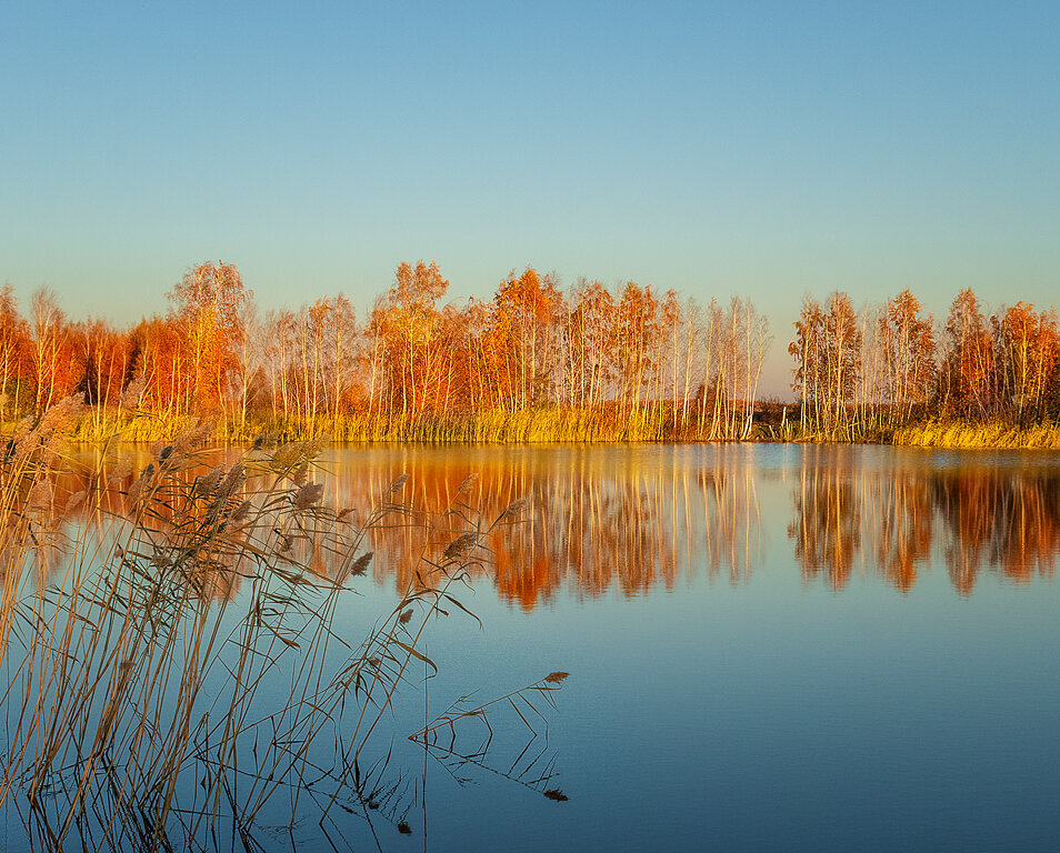 осень на озере - Олег Белан