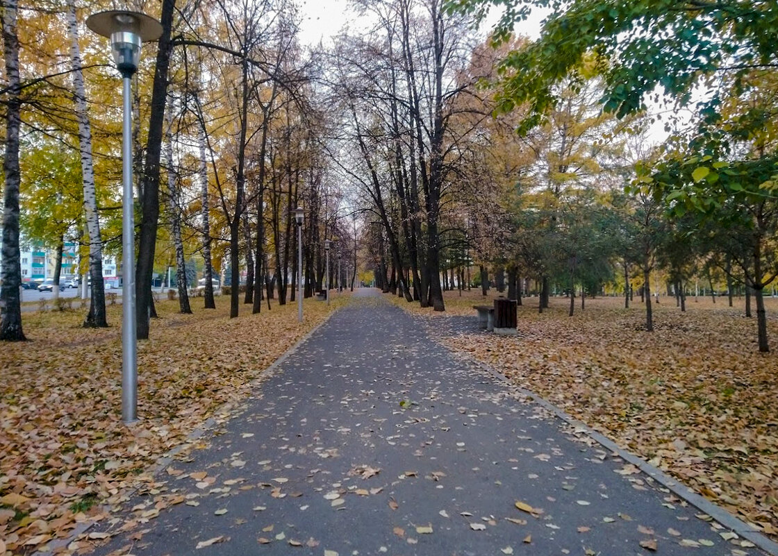 Осень в парке - Георгий Морозов