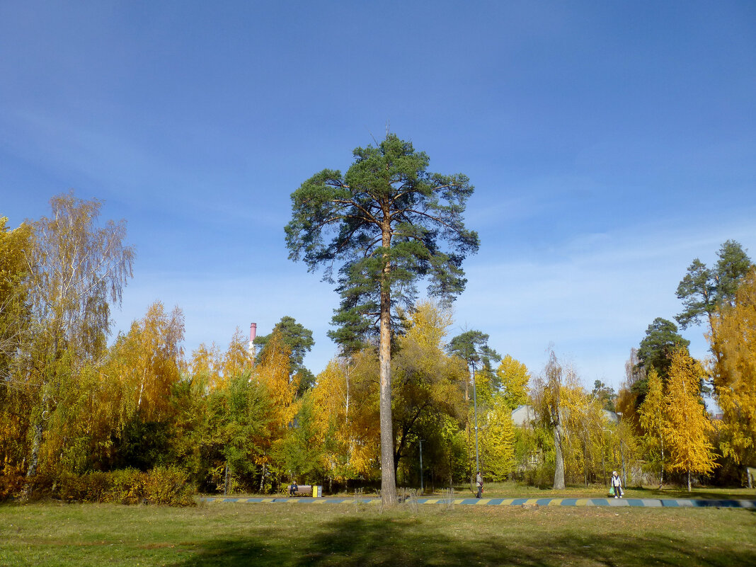 Парк имени Урицкого - Наиля 