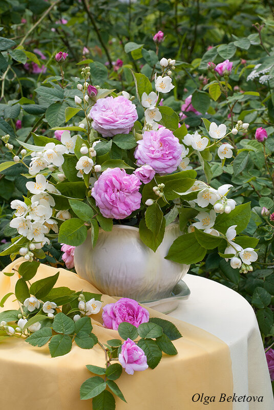 Розы и жасмин на круглом столике - Ольга Бекетова