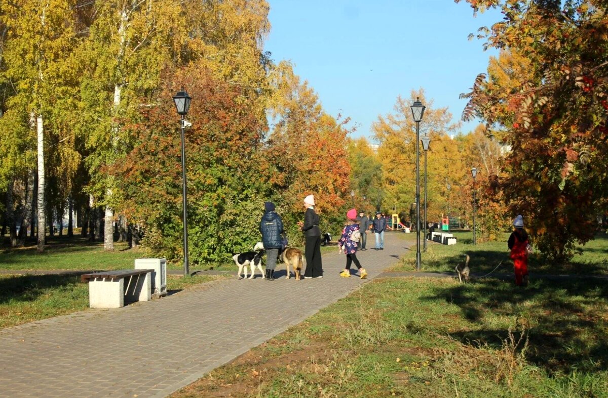 Золотая осень - Горкун Ольга Николаевна 