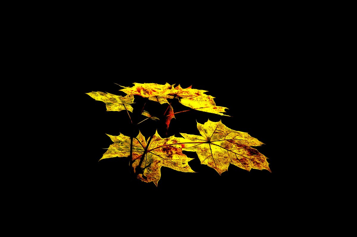 Осень золотая - Леонид leo