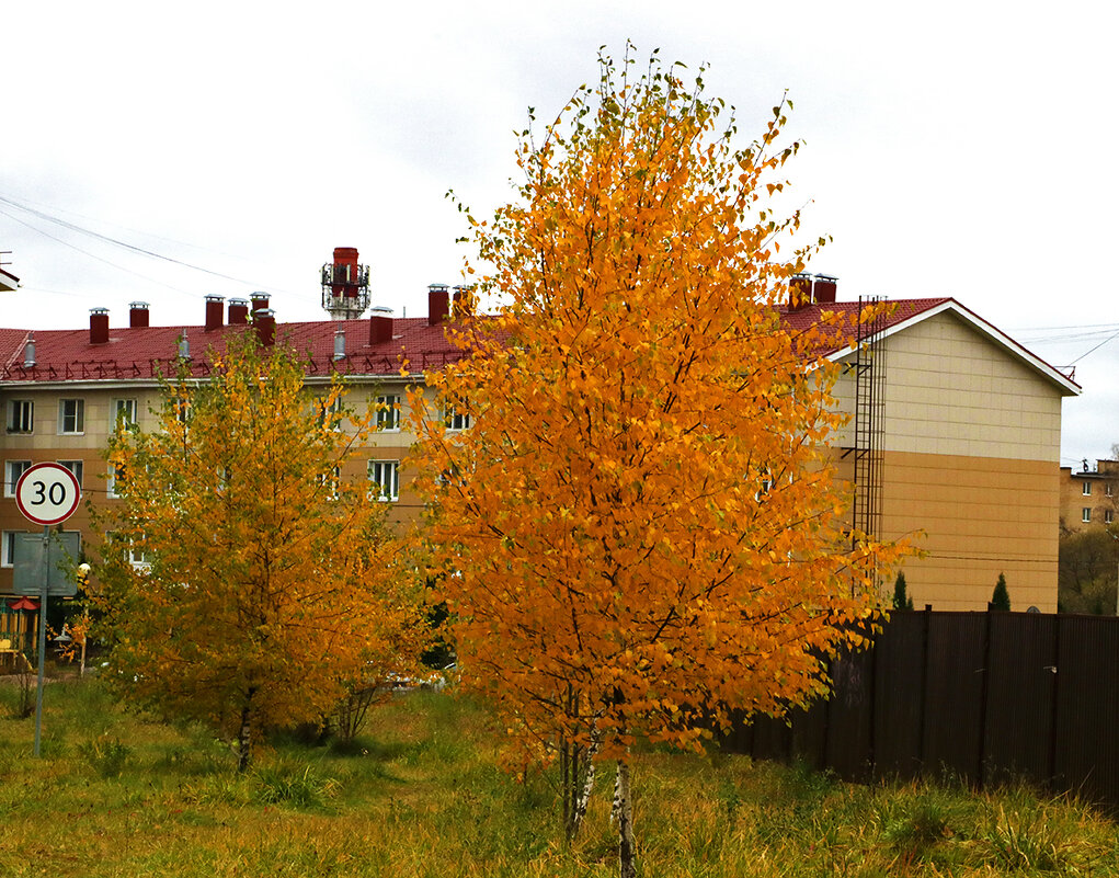 Осень в городе - Светлана 