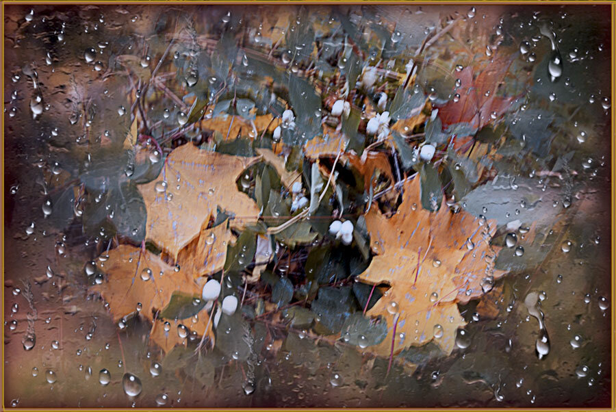 Осенние листья - Nikolay Monahov