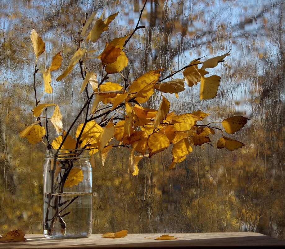 Плачет Осень за окном... - Нина Сироткина 