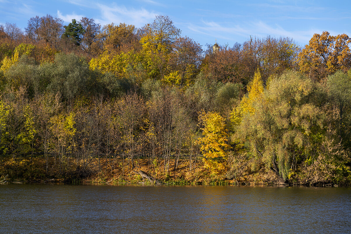 autumn trees - Zinovi Seniak