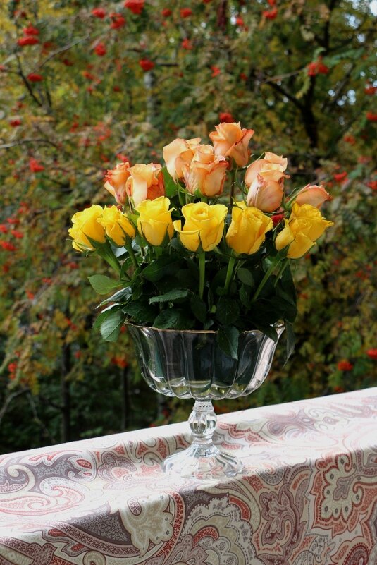 Розы моего октября на окне, а осень за окном - Надежд@ Шавенкова