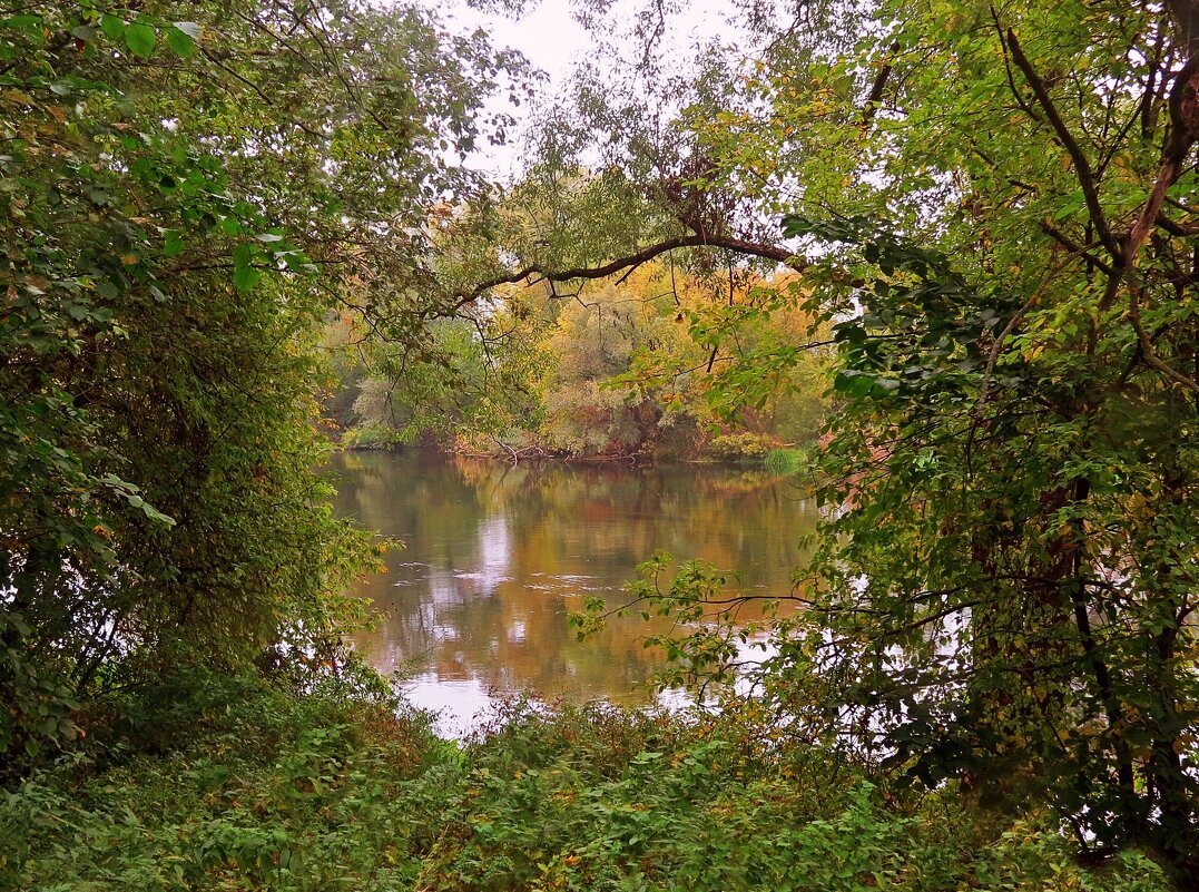 Осенняя река - Евгений Кочуров