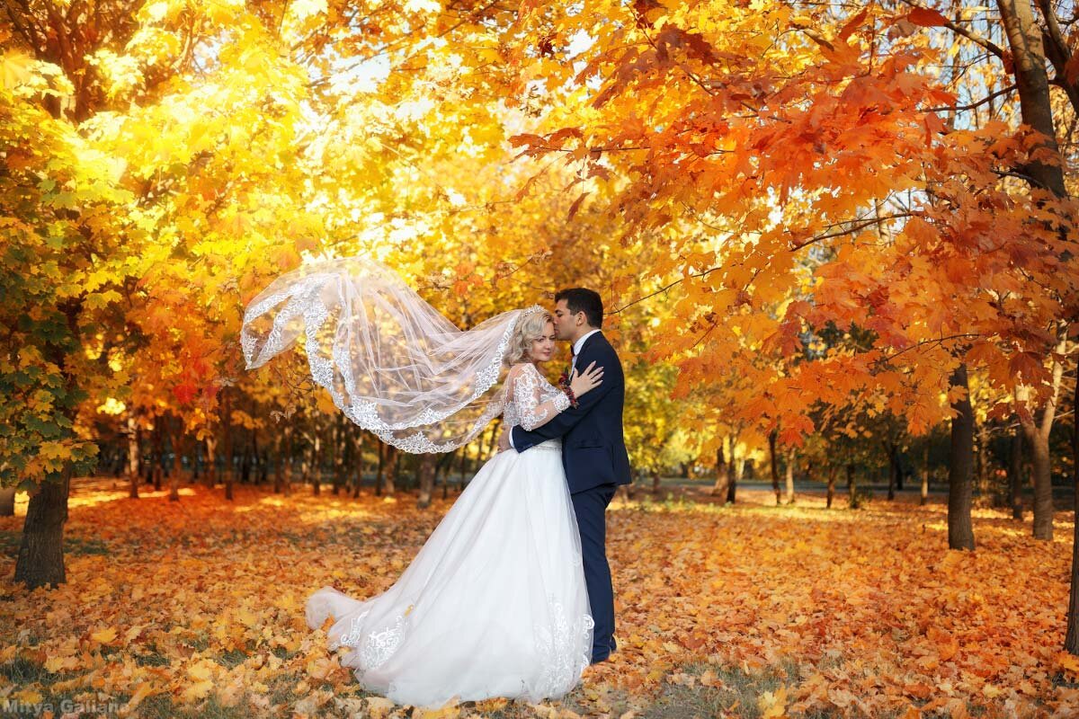 Autumn wedding - Mitya Galiano