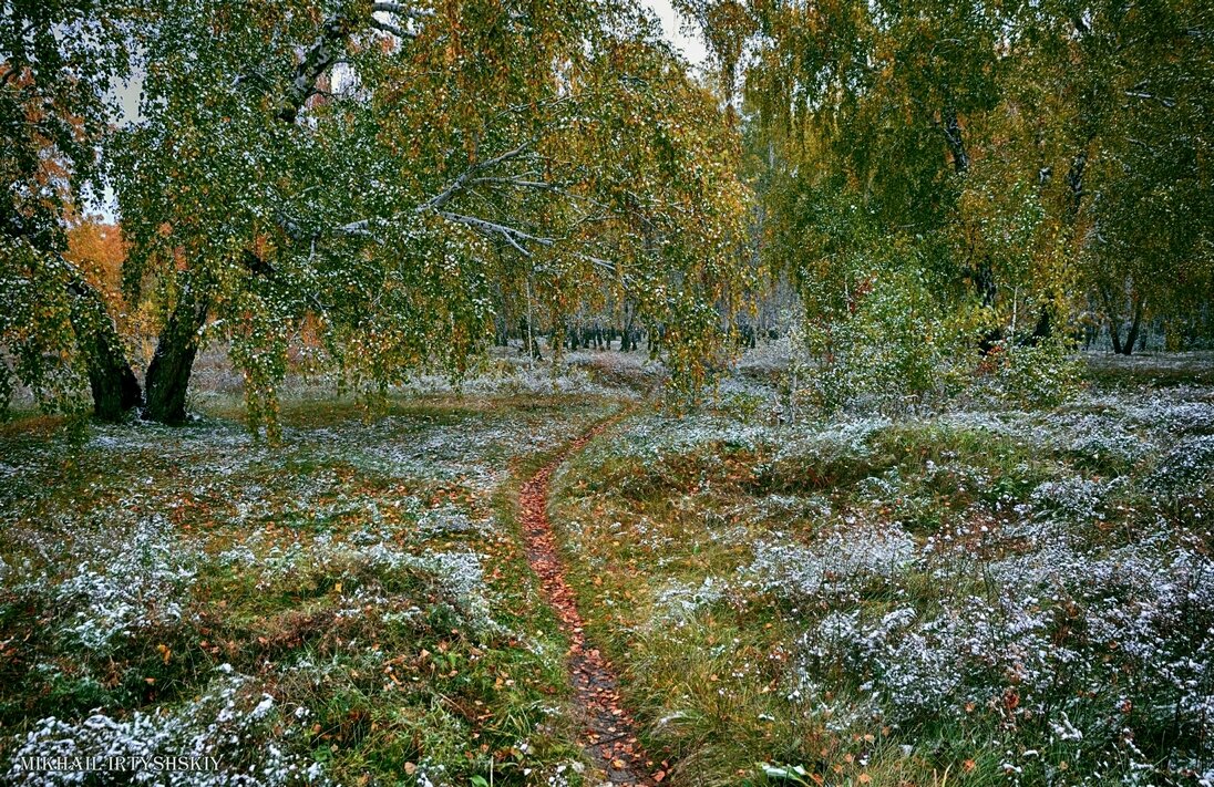 Осень со снежком - Mikhail Irtyshskiy
