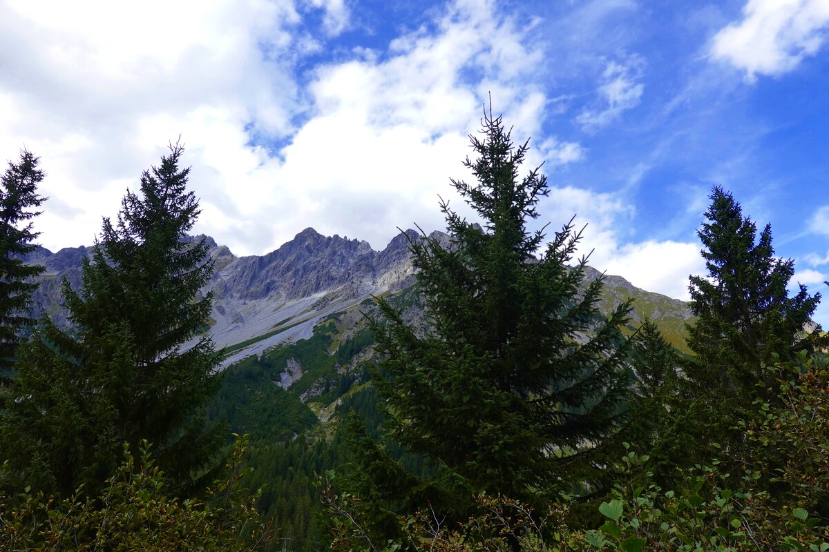 Alpen... - Galina Dzubina