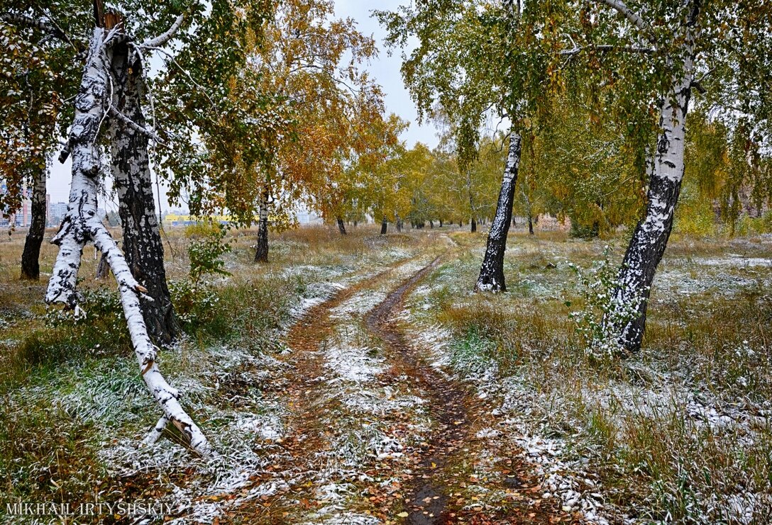 Осень с первым снегом - Mikhail Irtyshskiy