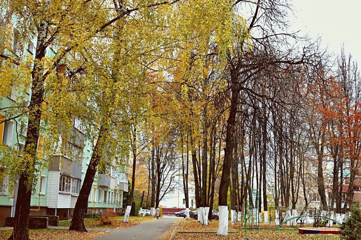 Осень в городе. - Михаил Столяров