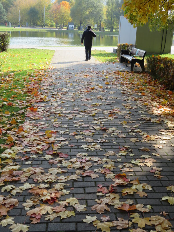 Осенняя дорожка в нашем парке. - Зинаида 