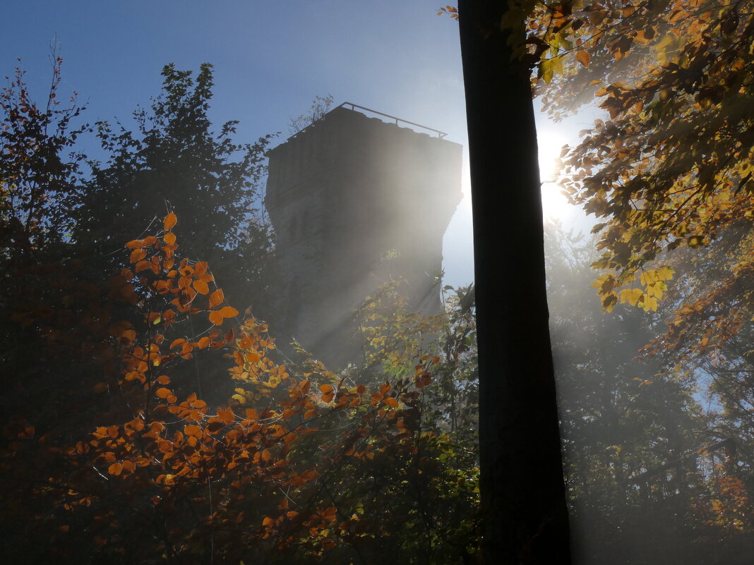 лес, туман, башня и свет - Heinz Thorns