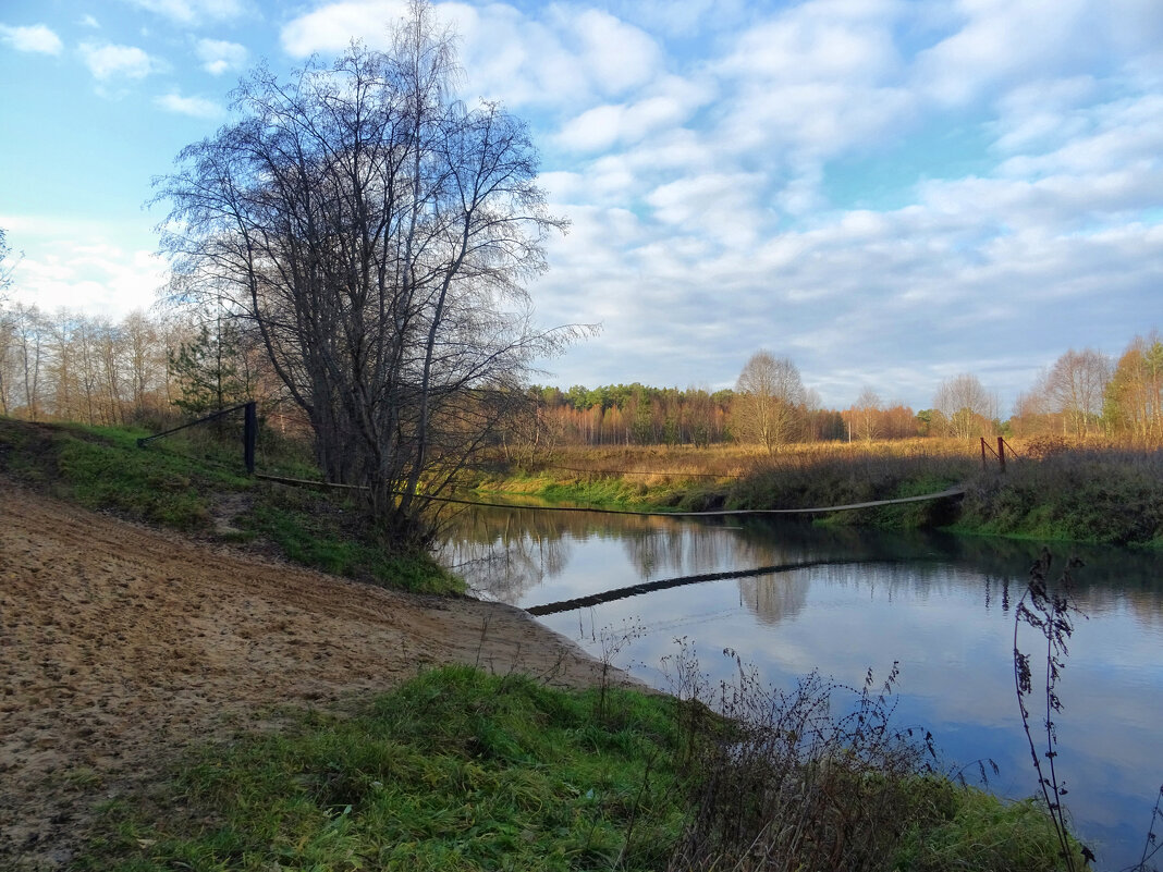 *** - Денис Бочкарёв