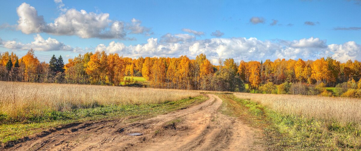 Дорога в осень - Константин 