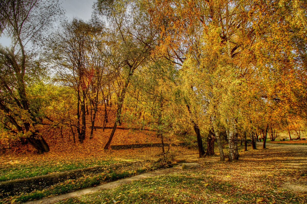 Осень- рыжая плутовка - Наталья Лакомова