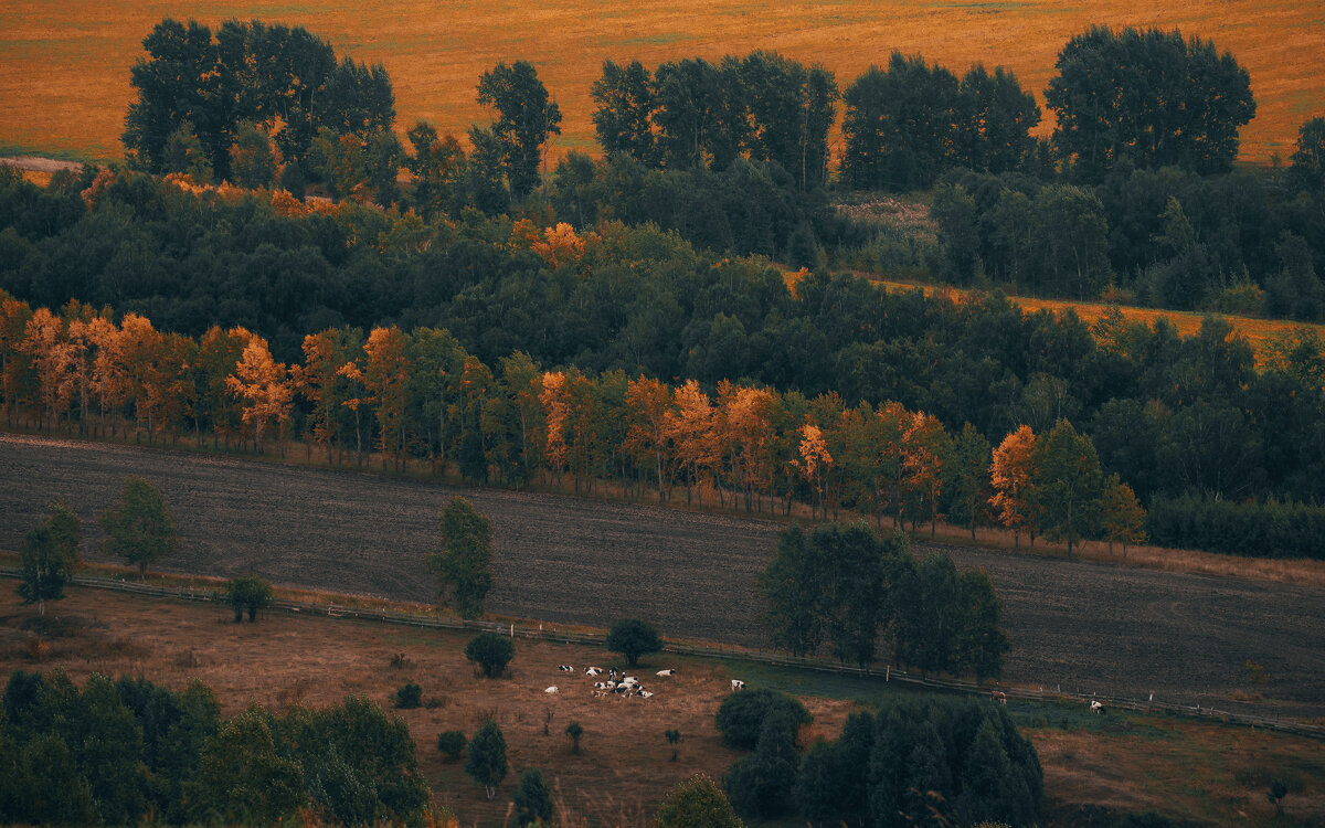 ... - Александр 