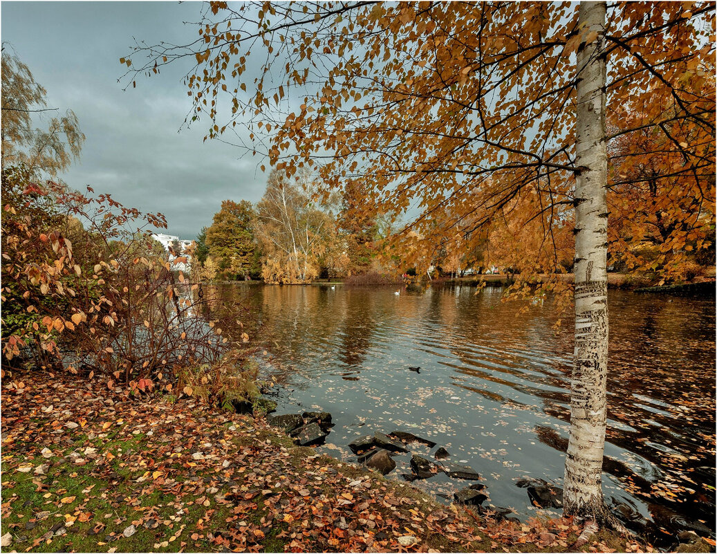 В осеннем парке городском - Bo Nik