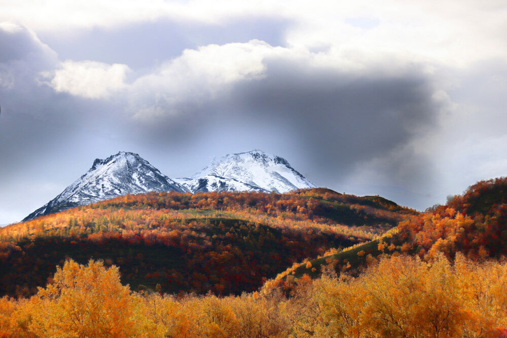 Осень в горах Камчатки - Галина Ильясова