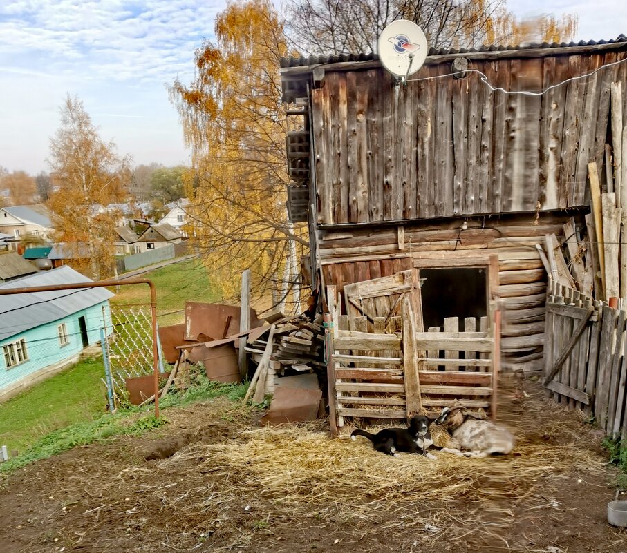 Неразлучные друзья - Наталья Шабалина 