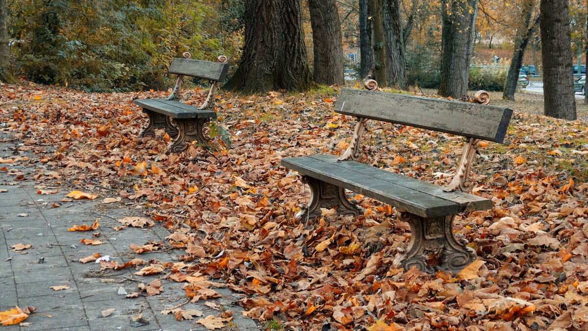 Осенние скамейки... - Elena Ророva