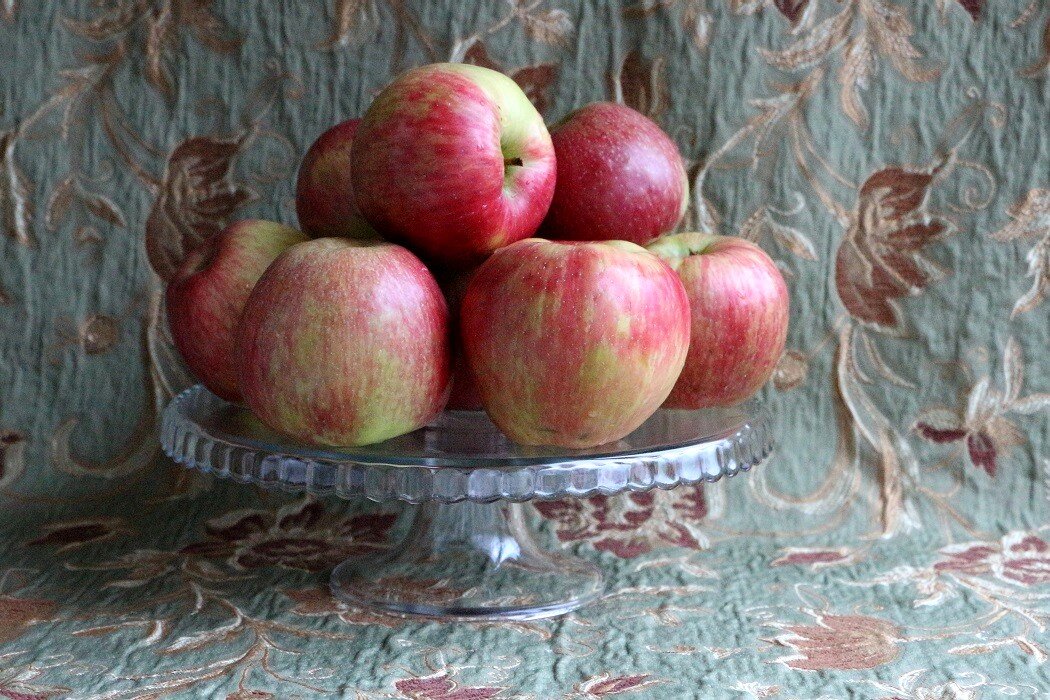 Яблоки сорта Орловское полосатое и ноябрьское хмурое утро - Надежд@ Шавенкова