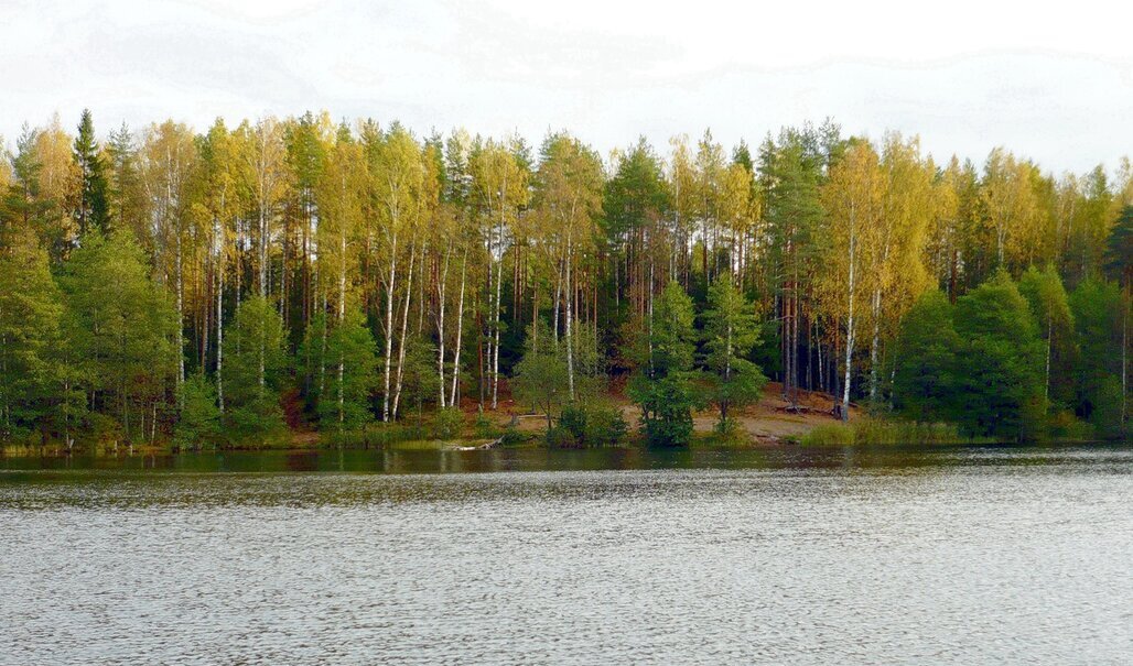 Осеннее озеро - Вера Щукина