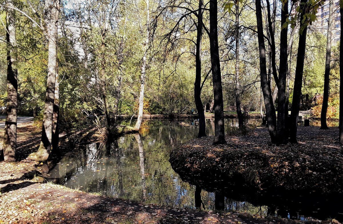 Городской парк - Сергей Б.