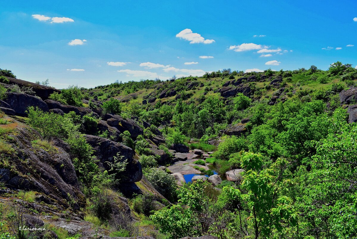 Арбузинский каньон - Татьяна Ларионова