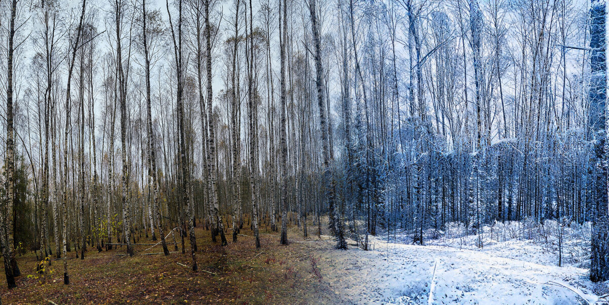 Осень-зима - Николай Зернов