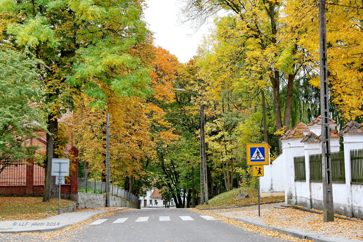 Осень в Польше. - Liudmila LLF