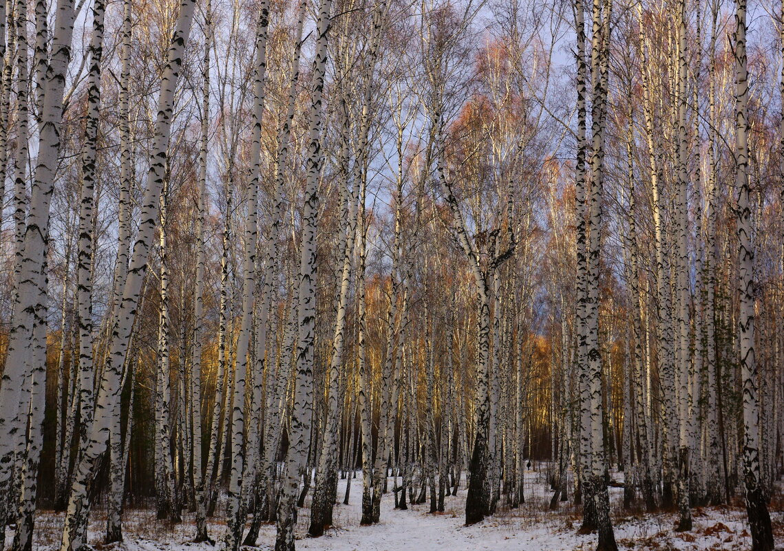 Акварель предзимья - Анна Суханова