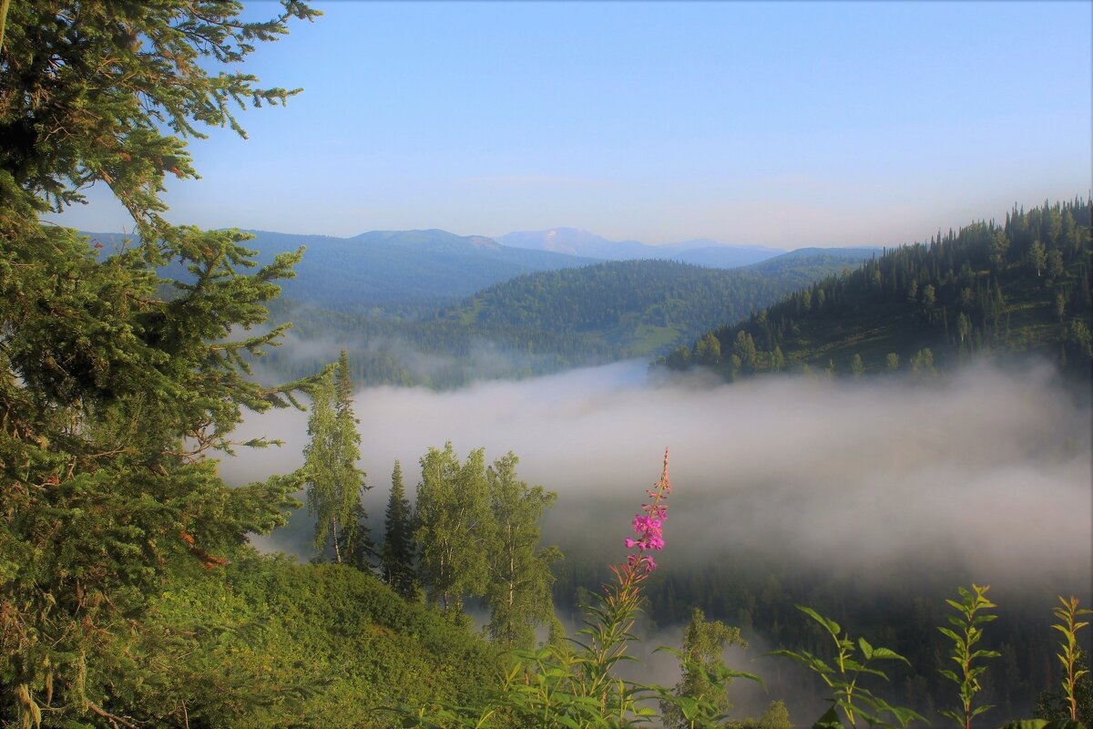 Над речной долиной утренний туман - Сергей Чиняев 