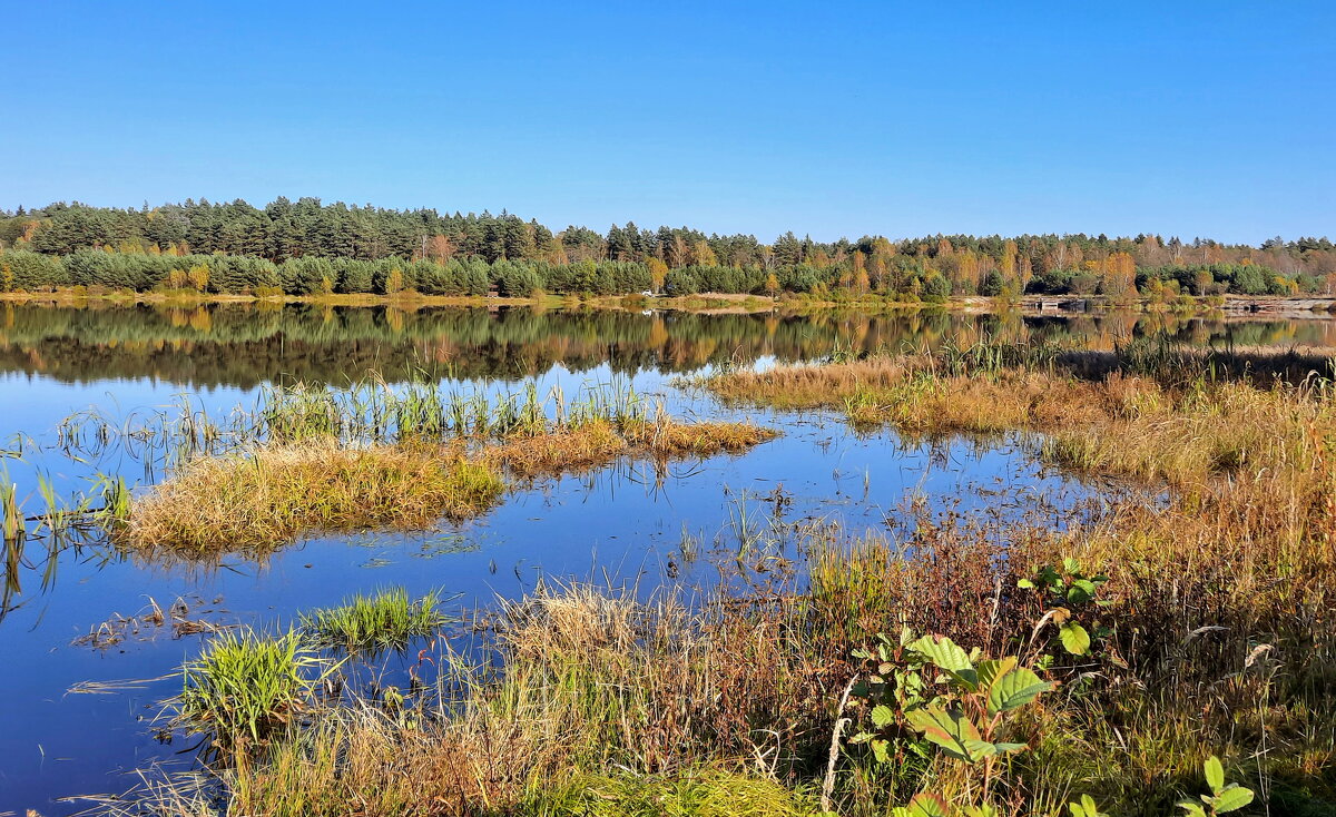 Озеро Старое - Елена Кирьянова