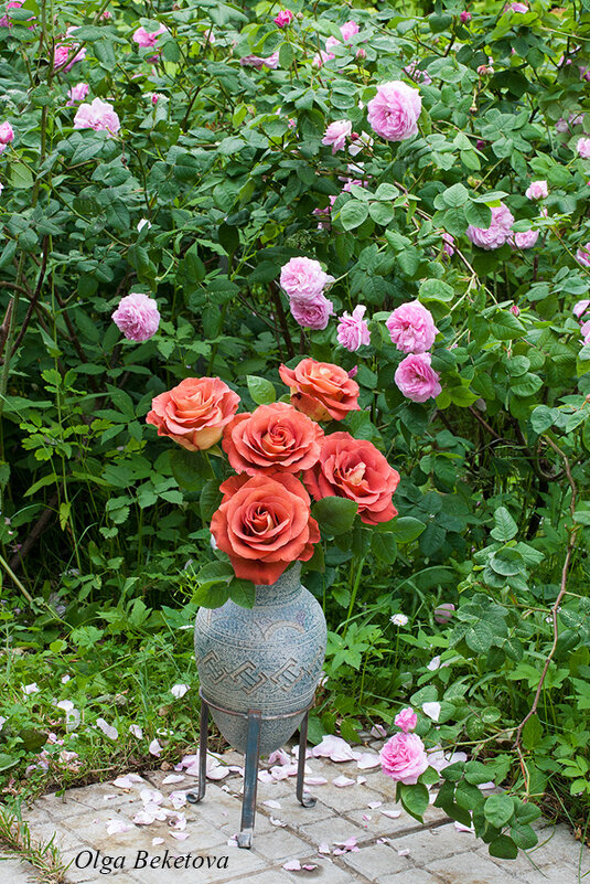 Терракотовые розы в саду - Ольга Бекетова