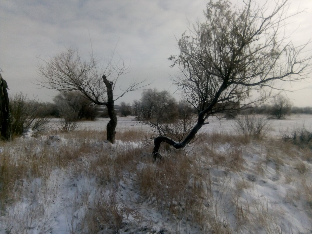 Зима....пришла - Андрей Хлопонин