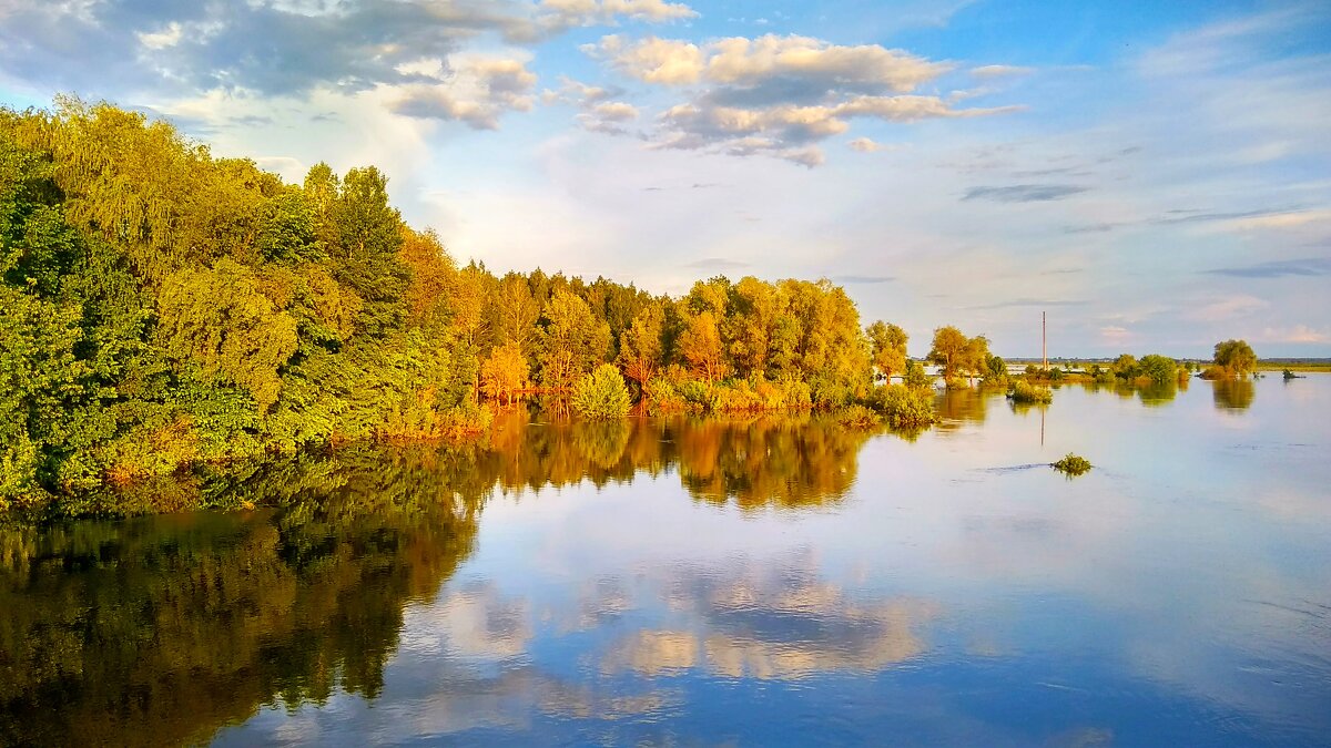 Широка река - Юрий Збанацкий