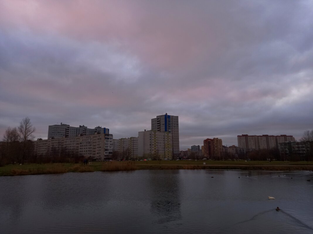 Утки на закате - Сапсан 