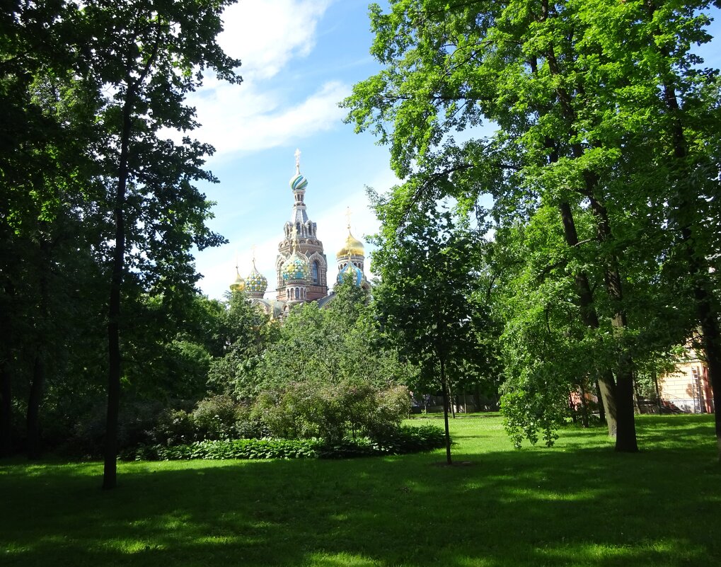 Лето в Михайловском саду. Санкт-Петербург. - Татьяна 