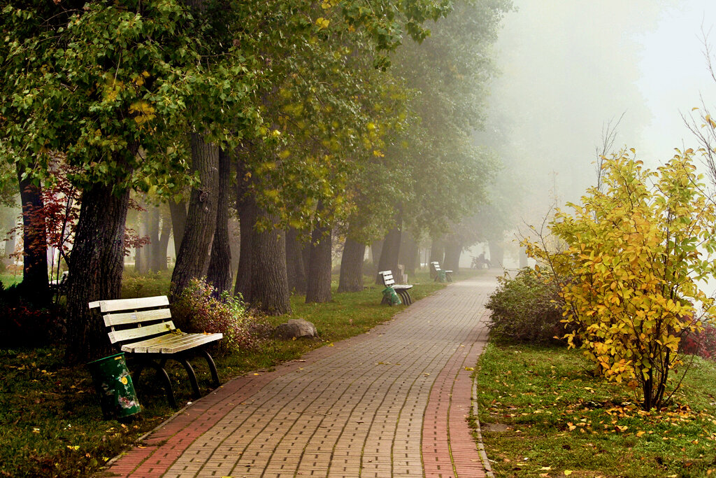 Туман в парке. - barsuk lesnoi