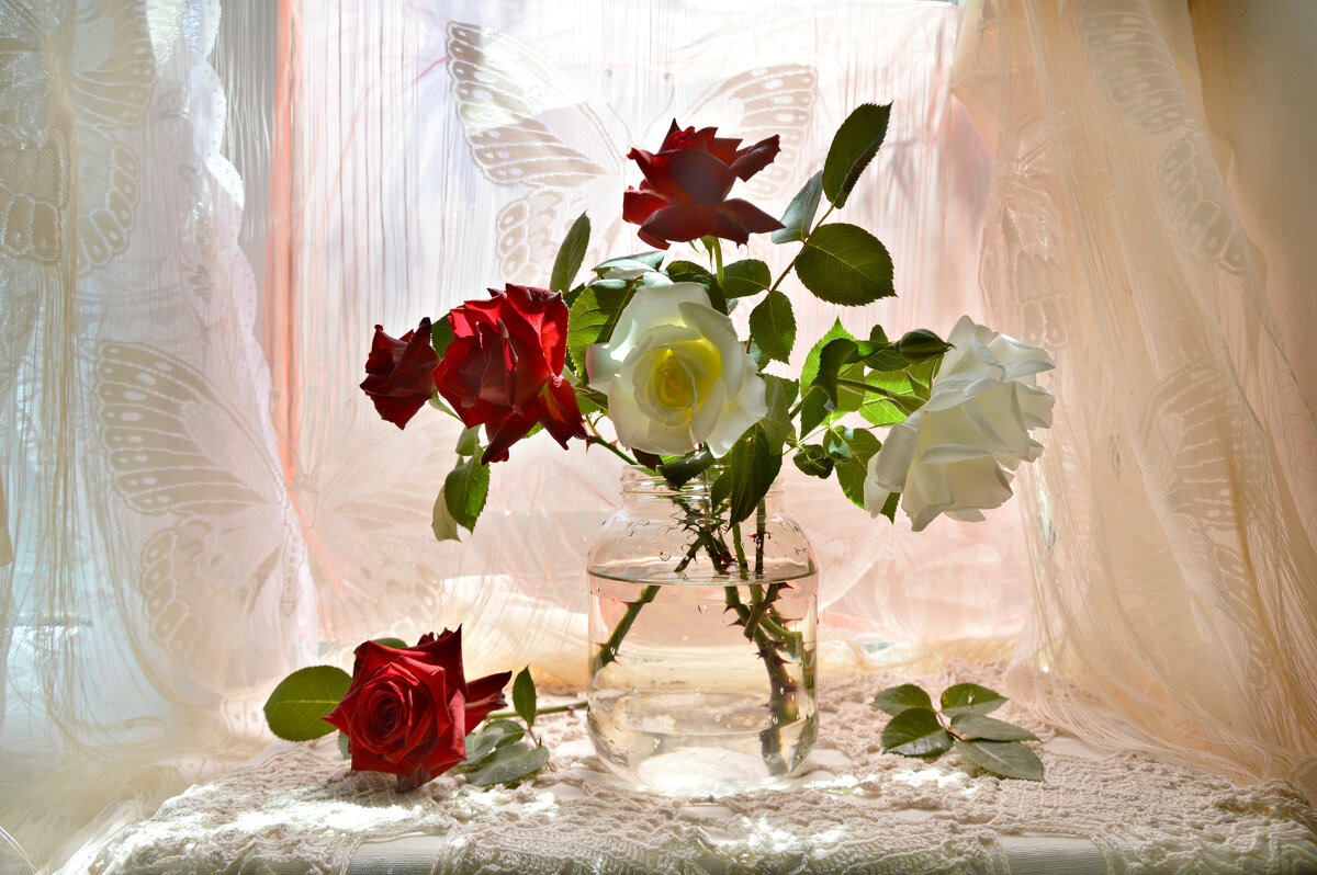 Любимые цветы с палисадника - Надежда Куркина