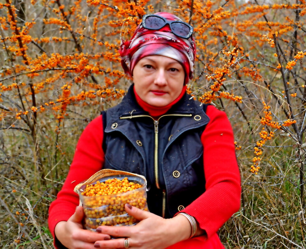 Сбрр. Облепихи - Лана 