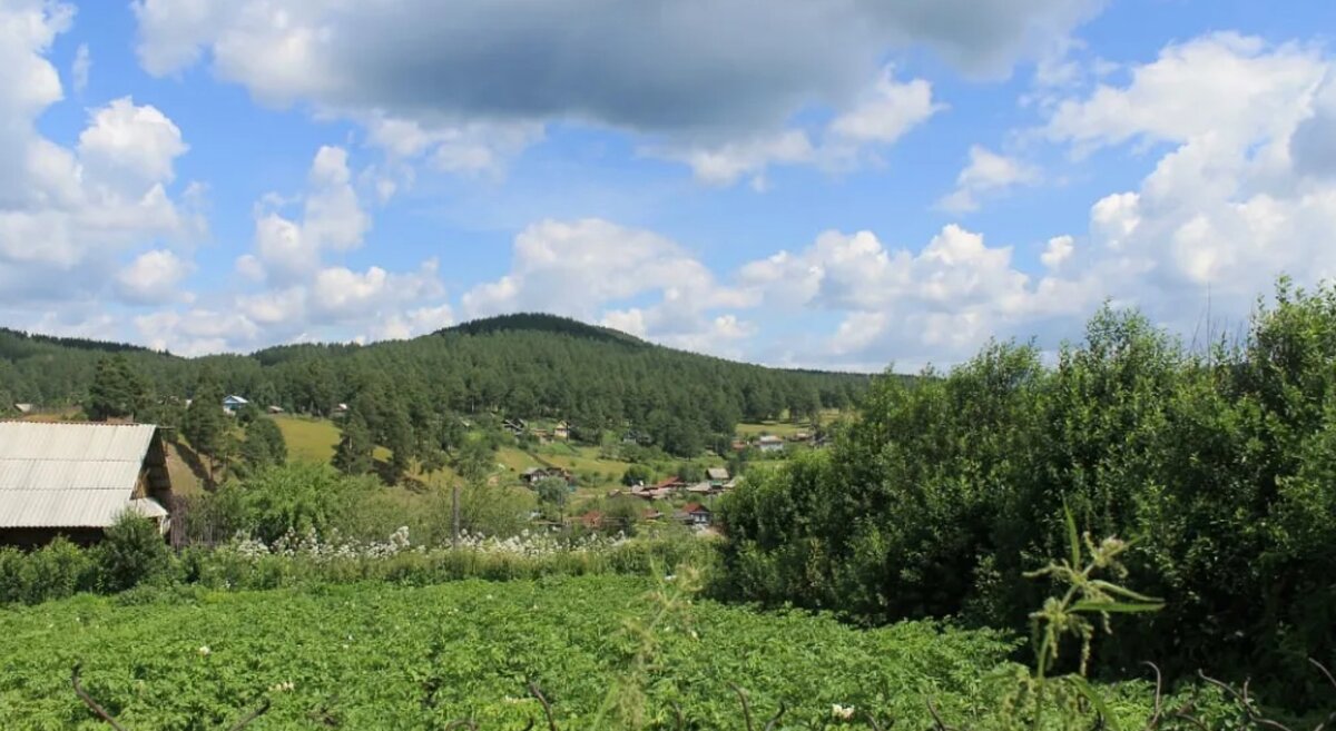 Челябинская область - Горкун Ольга Николаевна 